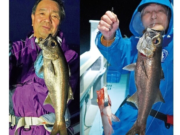 良型クロムツ急上昇中！　短時間に集中して挑もう