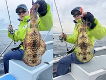 【釣果速報】千葉県赤沼丸でTOP11匹のアオリイカをキャッチ！絶品アオリイカを自分の手で釣り上げてみませんか？