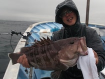 【釣果速報】千葉県千鯛丸で3.5kgのマハタが釣れる！あなたも高級魚ハンターになりませんか？