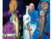 良型クロムツ急上昇中！　短時間に集中して挑もう