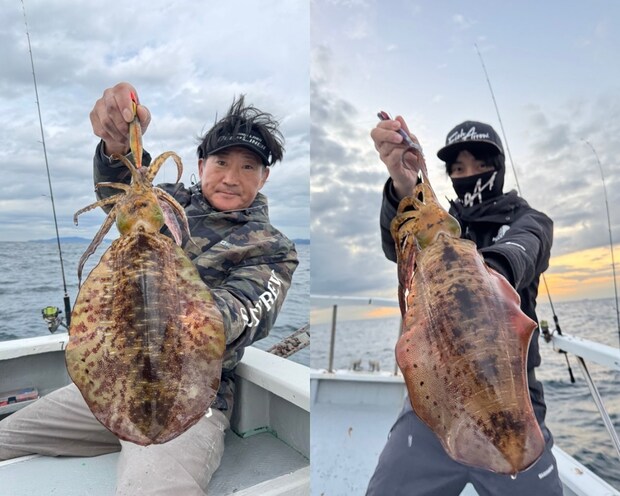 【釣果速報】アオリイカが終日ヒット!千葉県赤沼丸に乗船して憧れの高級イカを釣りに行こう!