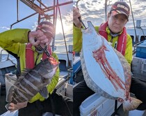 【釣果速報】ヒラメにタカバ、アコウ！福岡県金生丸に乗るとクーラーボックスが高級魚の宝石箱になるぞ！