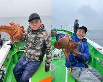 【釣果速報】2.3kgのモンスターマダコ確保！茨城県宗和丸の船長が厳選するポイントで記録更新マダコを釣ろう！