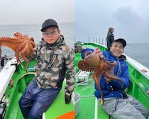 【釣果速報】2.3kgのモンスターマダコ確保！茨城県宗和丸の船長が厳選するポイントで記録更新マダコを釣ろう！