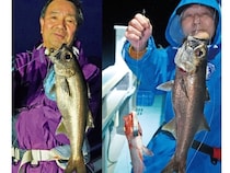 良型クロムツ急上昇中！　短時間に集中して挑もう