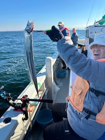 【釣果速報】神奈川県の金沢八景 黒川丸で良型アジのアタリ続く！イシモチも！家族や友達との釣りにもおすすめのターゲットです！