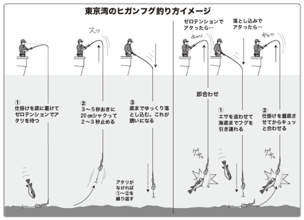 東京湾のヒガンフグ釣り方イメージ