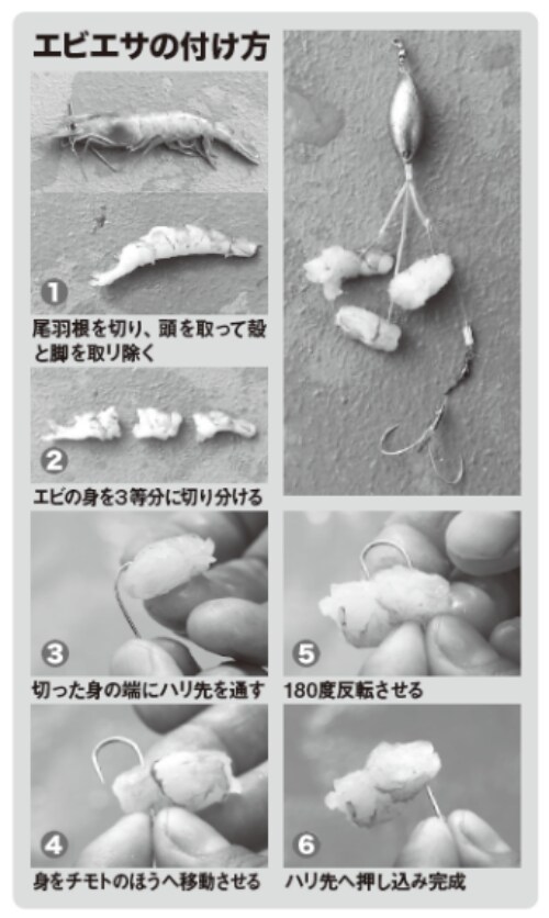 エビエサの付け方