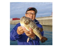 重量感と強い引きが魅力湾フグはヒガンフグの好期へ