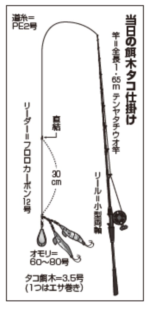 当日の餌木タコ仕掛け