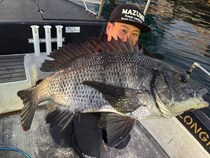 【釣果速報】千葉県TARGETで良型クロダイGET！憧れの超高級魚をあなたも釣ってみませんか？