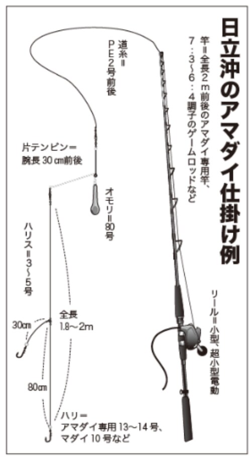 日立沖のアマダイ仕掛け例