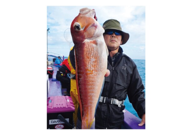 このポテンシャルはすごい！日立沖のアマダイ好調キープ