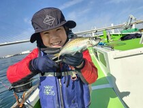 【釣果速報】東京都小林丸でアジトップ86匹！釣れすぎて笑いが止まらない釣行を体験してみませんか？