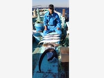 【釣果速報】神奈川県あまさけや丸でワラサ・マトウダイ・クロアナゴ・アジ・カワハギと人気魚種続々ゲット！いろいろな魚との出会いを楽しみたい人は即予約を！