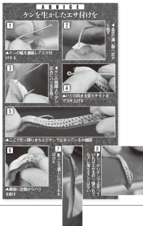 ケンを生かしたエサ付けを