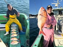 【釣果速報】デカアジ・マダイが短時間でどんどん釣れる！神奈川県網屋丸の釣行でクーラーボックスを人気魚種でいっぱいにしよう！