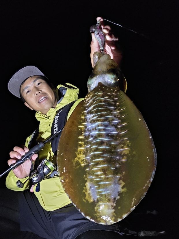 熊本エリアのナイトゲームでキャッチした800ｇのアオリイカ（エギ王SEARCH）