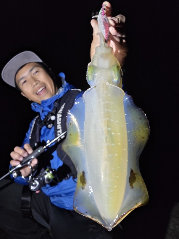 エギ王SEARCHでキャッチした500ｇほどのアオリイカ