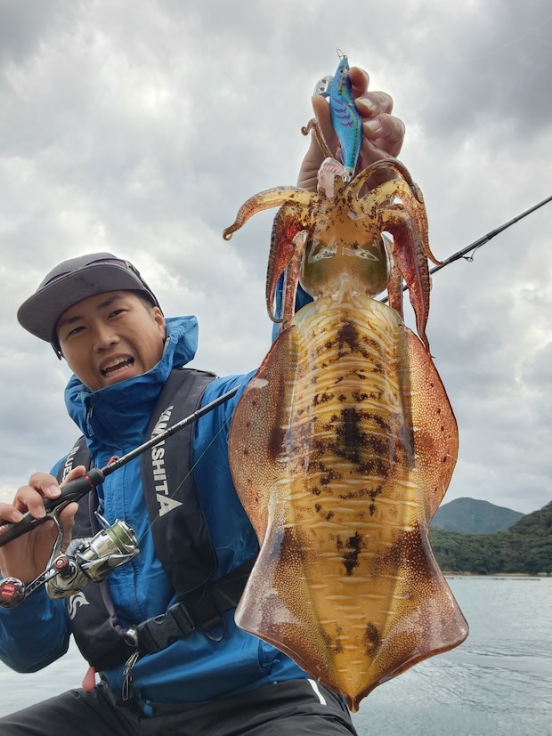 日中にエギ王K3.5ドキドキマリンでボトム付近を攻めてキャッチしたアオリイカ