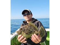 【釣果速報】30cmのデカハギをキャッチ！神奈川県長三朗丸の船長が厳選したポイントで人生最大のカワハギを捕まえよう！