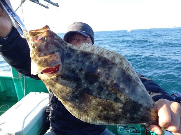 【釣果速報】65cmのヒラメ上がる！ハタもGETで好調！人気魚種を狙うなら和歌山県大南荘勝丸に乗船だ！