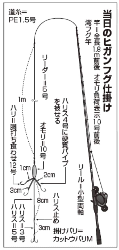 当日のヒガンフグ仕掛け