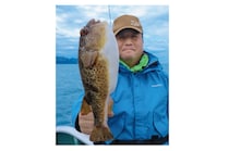 内房フグ釣りの穴場上総湊のヒガンフグ良型交じりで好発進