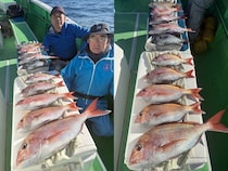 【釣果速報】神奈川県あまさけや丸でマダイ・イシダイ・ハナダイ・ヒラソウダなど人気魚種続々ゲット！いろいろな魚との出会いを楽しみたい人は即予約を！