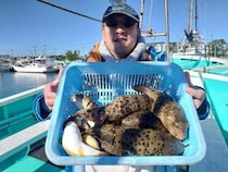 【釣果速報】千葉県利永丸でショウサイフグ・ヒガンフグ・コモンフグ上がる！あなたもフグ釣行に出かけよう！