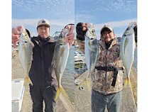 【釣果速報】千葉県フィッシュオン大勝はアジ・マダイが連日大漁！今回は38cmの大アジキャッチ！この勢いに今すぐ乗ろう！