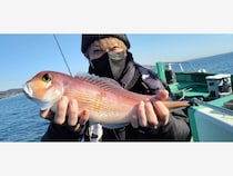 【釣果速報】神奈川県かりゆし丸でイトヨリ・アジ・ハマダイなど豪華ターゲットを確保！ラグジュアリーな釣行を一度は絶対に体験して！