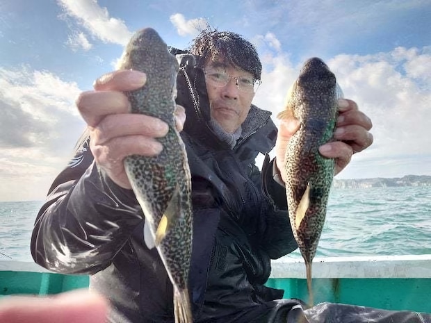 【釣果速報】ショウサイフグのビッグウェーブ来てます!千葉県利永丸で38cmのでっぷりショウサイフグGET!このチャンスを逃すな!