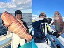 【釣果速報】千葉県松栄丸でマハタ・ヒラメ絶好調！カサゴ・イナダもあり！根魚獲るならすぐに乗船を！