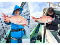 【釣果速報】2.80kgのド迫力マダイ出た！自己最高記録の大鯛を狙うなら神奈川県網屋丸に乗船しよう！