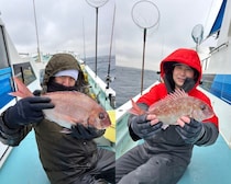 【釣果速報】神奈川県伝五郎丸で1.2kgの良型マダイをゲット！ヒット多数な今がチャンス！