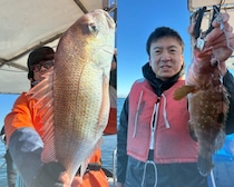 【釣果速報】でか～～～～い！兵庫県海蓮丸で70㎝のマダイキャッチ！現在、中～大鯛メインにコンスタントに釣れてる模様です！