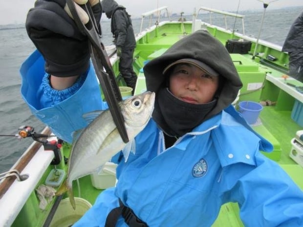 【釣果速報】神奈川県長崎屋のアジの釣果がバズってる！竿頭144匹！釣れすぎて笑いが止まらない釣行を体験してみませんか？