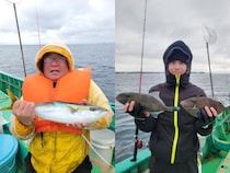 【釣果速報】神奈川県深田家でイナダ好調！最大55cm！仕立船予約で好きな魚を狙いに行こう！
