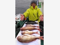 【釣果速報】神奈川県あまさけや丸でマダイ・アジ・ワラサなどと人気魚種続々ゲット！いろいろな魚との出会いを楽しみたい人は即予約を！