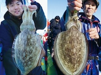 東京湾のテンヤスミイカ　不調はモンゴウイカがカバー