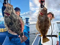 【釣果速報】千葉県第三松栄丸でヒラメトップ4本！3.10kgのBIGサイズもキャッチ！量・質ともに大満足のヒラメに出会おう！