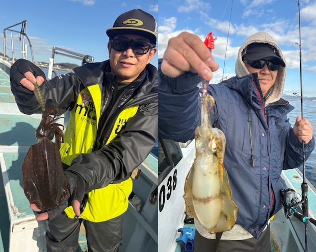【釣果速報】良型の0.9kgアオリイカをゲット!神奈川県藤八丸で普段食べられない高級イカをゲットしよう!