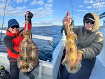 【釣果速報】アオリイカをゲット！千葉県赤沼丸で普段食べられない高級イカをゲットしよう！