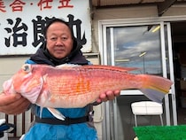 【釣果速報】見よ！51cmの巨大アマダイの迫力を！神奈川県庄治郎丸で大型高級魚GETのビッグドリームを叶えよう！