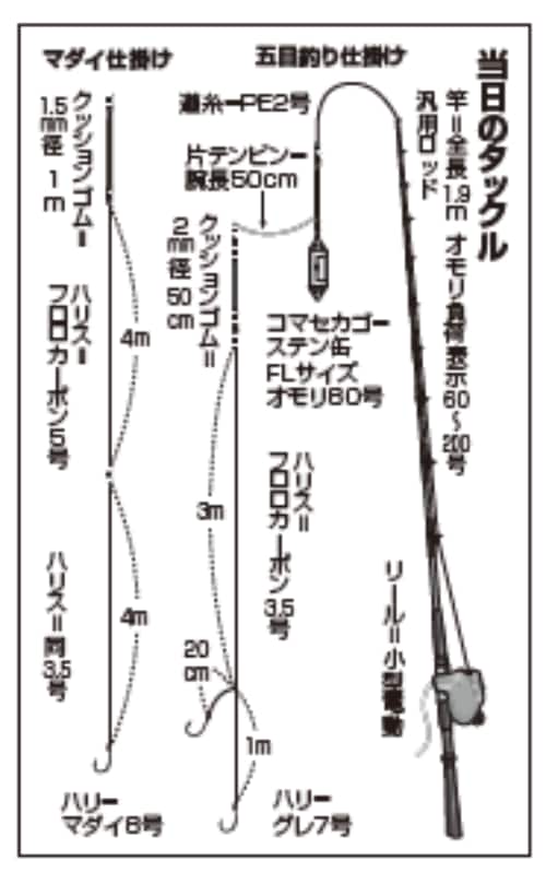 当日のタックル