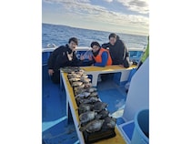 【釣果速報】神奈川県成銀丸で尺カワハギをキャッチ！竿頭はなんと18匹！大きさも質も大満足の釣行に出かけよう！