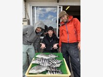 【釣果速報】神奈川県庄治郎丸でクロダイ・イシダイGET！アジ・ハナダイ・カサゴなどゲストも超豊富に！