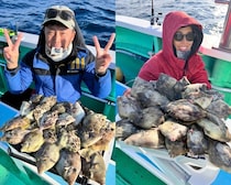 【釣果速報】神奈川県瀬戸丸でカワハギがバズる！トップは23枚！サイズも最大30cmと大型多数！数もサイズも記録更新したいなら今スグの乗船がおすすめ！