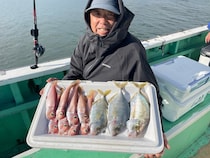 【釣果速報】神奈川県喜久丸で最大30cmの良型アマダイGET！ポイントを知り尽くす船長はお客さんからの信頼絶大！